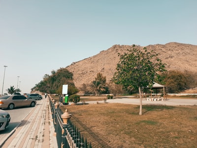 白天蓝天下，山旁棕色田野上的绿树